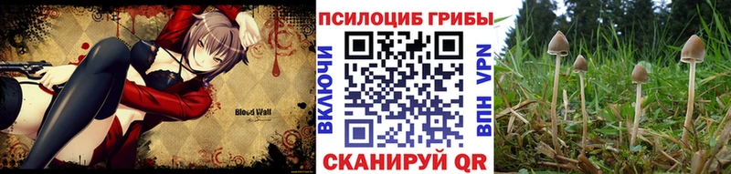 Псилоцибиновые грибы MAGIC MUSHROOMS  закладка  Агрыз 